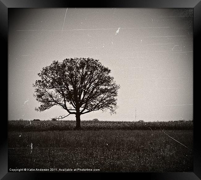 One Tree Stands Alone Framed Print by Katie Anderson
