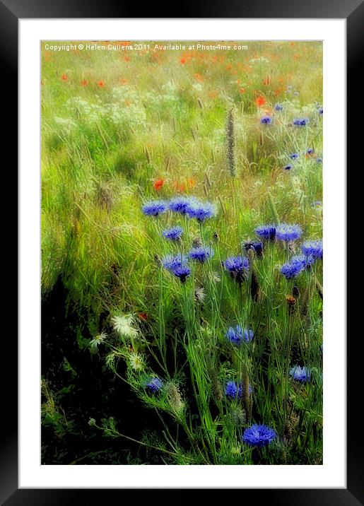 HEARTWOOD FOREST Framed Mounted Print by Helen Cullens