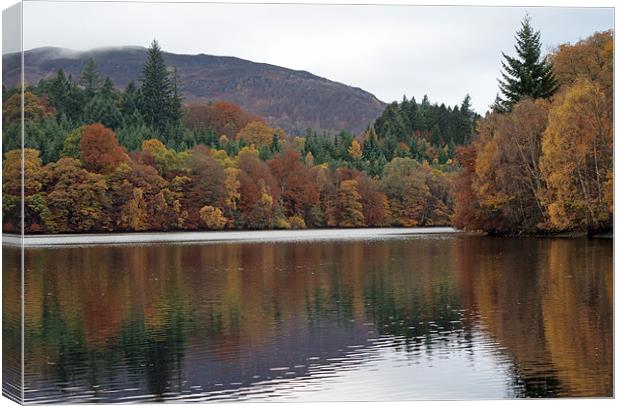 Autumn in Pitlochry Canvas Print by Phil Wareham