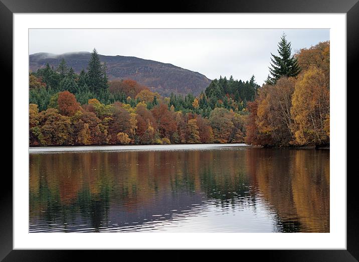 Autumn in Pitlochry Framed Mounted Print by Phil Wareham