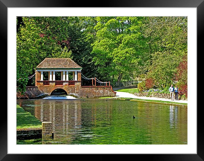 Russell Gardens Framed Mounted Print by Derek Vines