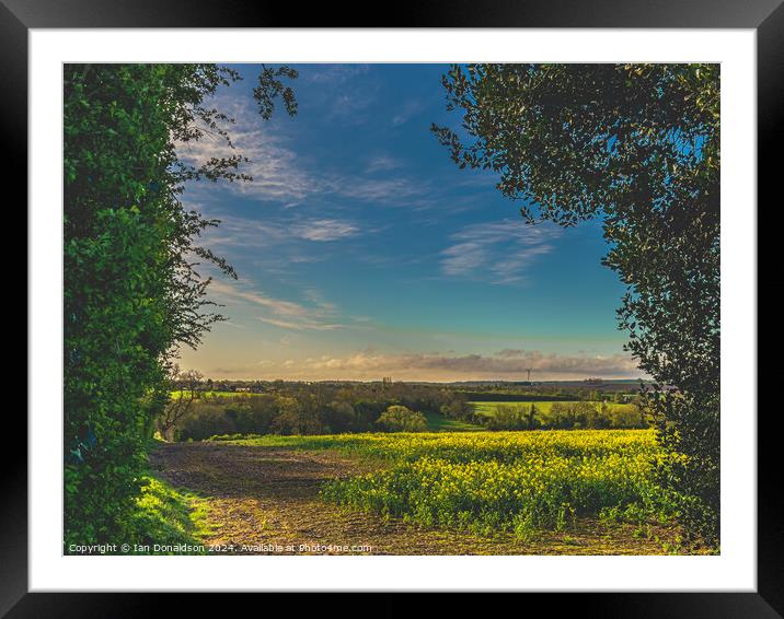 Rapeseed Fields Framed Mounted Print by Ian Donaldson
