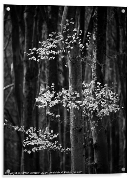 Woodland sunlight  monochrome  Acrylic by Simon Johnson