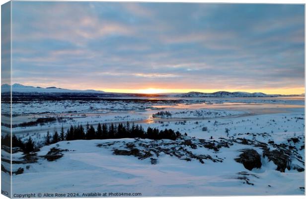 Morning Sunrise Over Þingvellir National Park, Ice Canvas Print by Alice Rose Lenton
