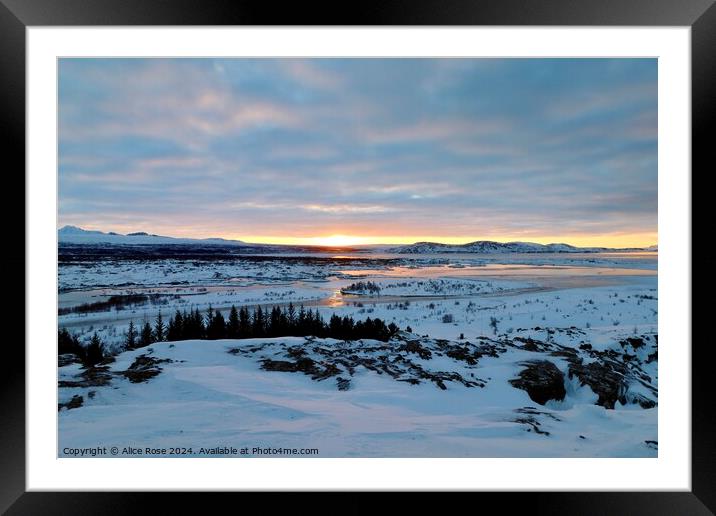 Morning Sunrise Over Þingvellir National Park, Ice Framed Mounted Print by Alice Rose Lenton