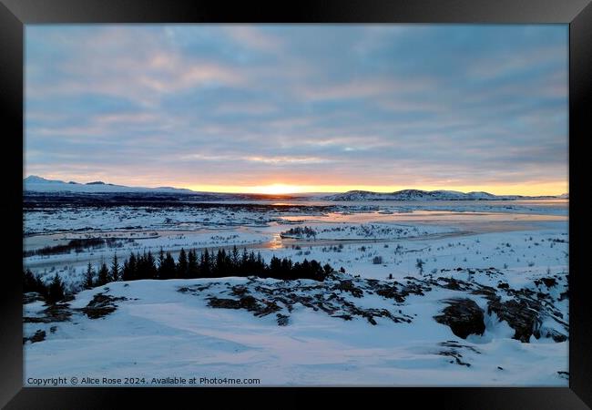 Morning Sunrise Over Þingvellir National Park, Ice Framed Print by Alice Rose Lenton
