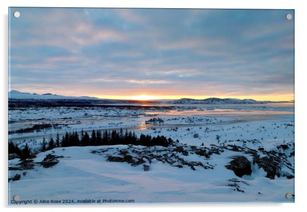Morning Sunrise Over Þingvellir National Park, Ice Acrylic by Alice Rose Lenton