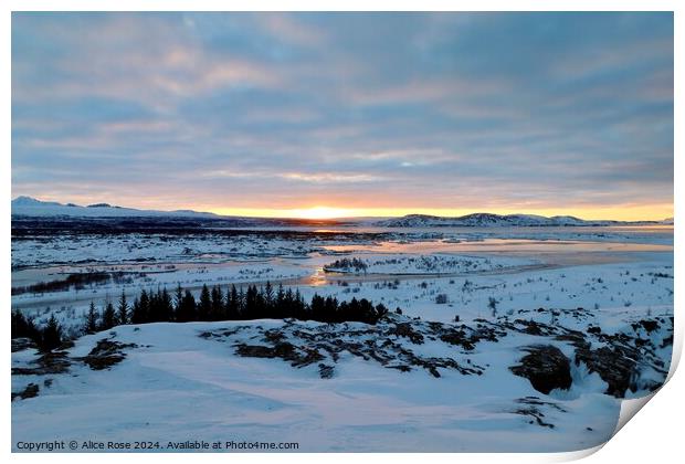 Morning Sunrise Over Þingvellir National Park, Ice Print by Alice Rose Lenton