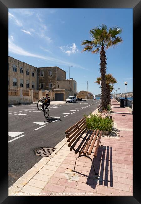 Maltese Wheelie  Framed Print by Rob Hawkins