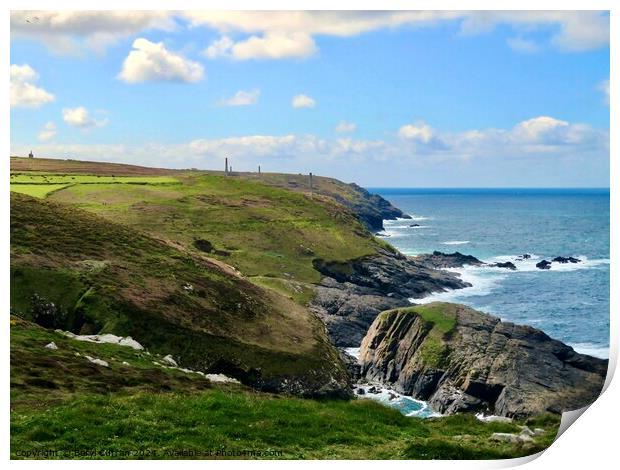 Levant mine Pendeen  Print by Beryl Curran