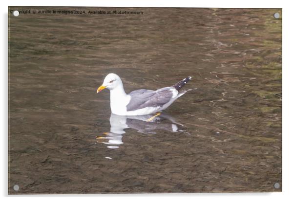 Seagull landed on a pond Acrylic by aurélie le moigne