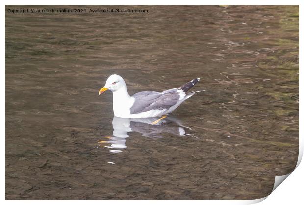Seagull landed on a pond Print by aurélie le moigne