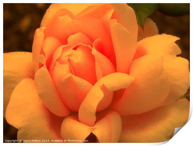 A yellow rose Print by Joyce Nelson