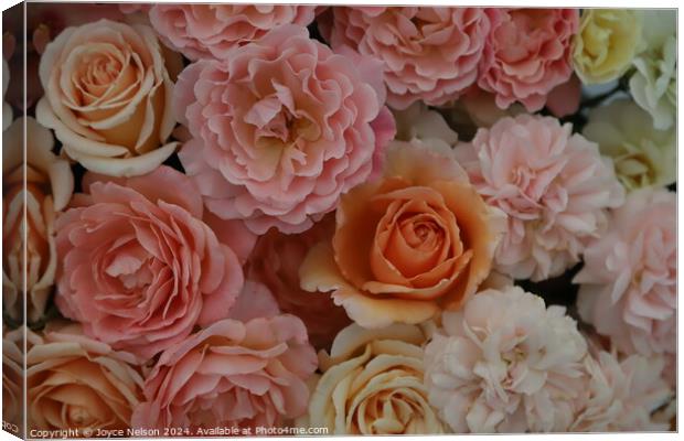 A bouquet of pink and orange roses Canvas Print by Joyce Nelson
