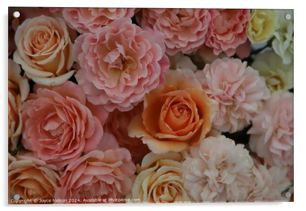 A bouquet of pink and orange roses Acrylic by Joyce Nelson