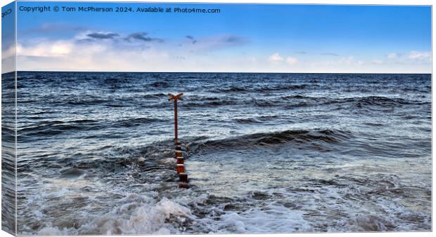 Findhorn Seascape Canvas Print by Tom McPherson