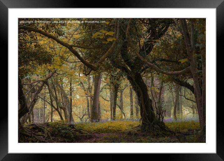 Magical Moment Framed Mounted Print by Christine Lake
