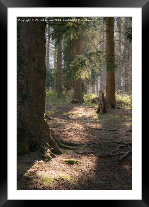 Natures Path Framed Mounted Print by Christine Lake