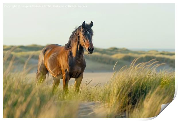 A proud bay stallion standing on a grassy field in North Sea. Print by Joaquin Corbalan