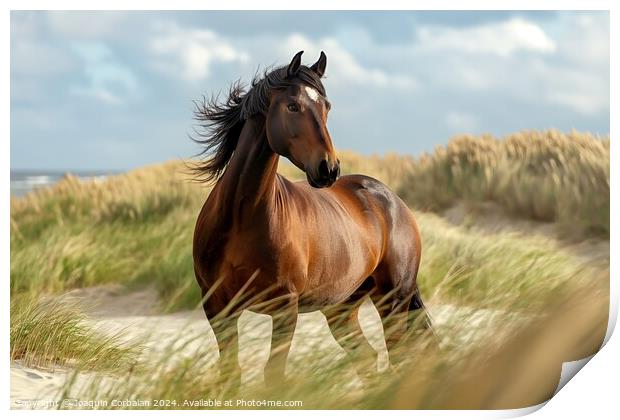 A proud brown stallion stands on a sandy beach facing the North Sea. Print by Joaquin Corbalan