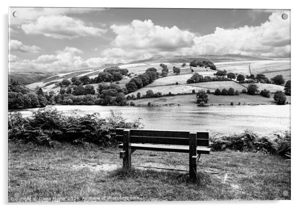 Ladybower View Mono Acrylic by Diana Mower