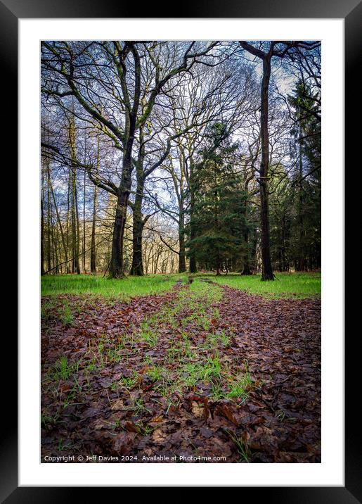 Re-emergence Framed Mounted Print by Jeff Davies