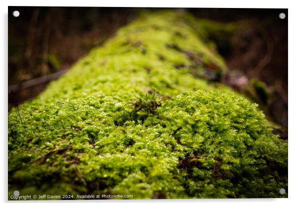 Green Lichen Acrylic by Jeff Davies