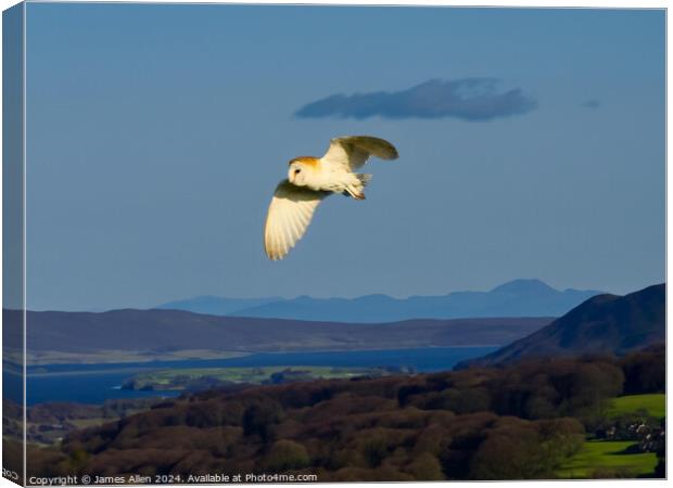 Barn Owl hunting over the Beautiful Lake District National Park Canvas Print by James Allen