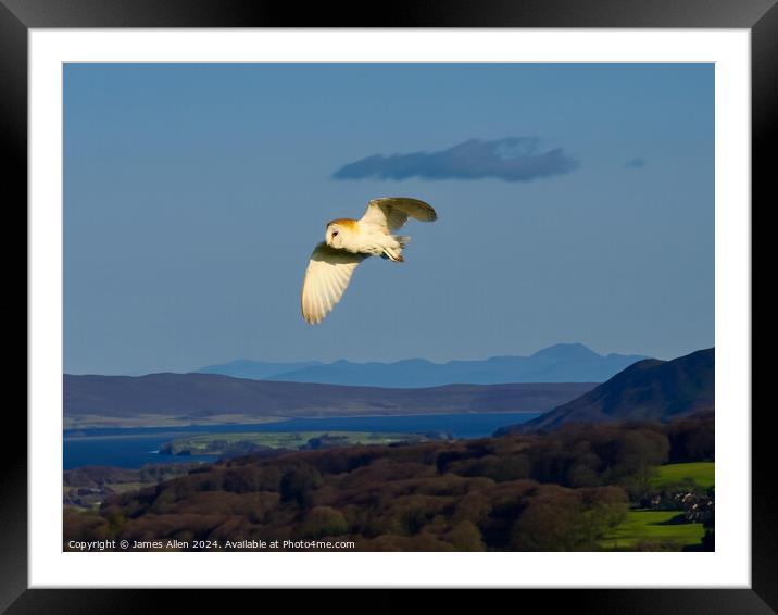 Barn Owl hunting over the Beautiful Lake District National Park Framed Mounted Print by James Allen