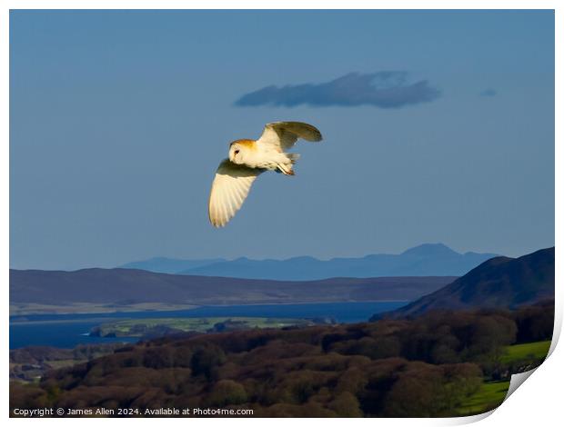 Barn Owl hunting over the Beautiful Lake District National Park Print by James Allen