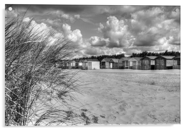 West Wittering beach huts and Dunes Mono Acrylic by Diana Mower