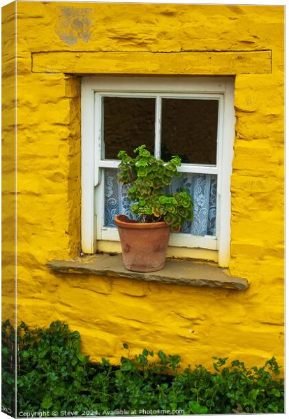 Flowerpot on Windowsill Surrounded by Vibrant Yellow Wall, Mucross, Killarney, Country Kerry, Ireland Canvas Print by Steve 