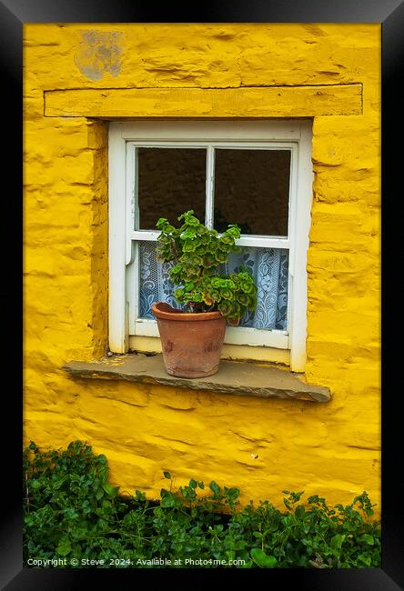 Flowerpot on Windowsill Surrounded by Vibrant Yellow Wall, Mucross, Killarney, Country Kerry, Ireland Framed Print by Steve 