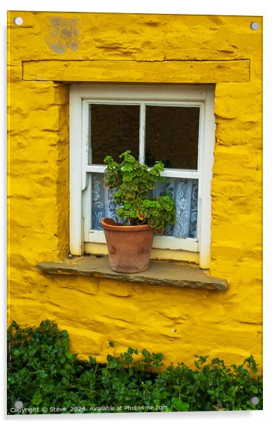 Flowerpot on Windowsill Surrounded by Vibrant Yellow Wall, Mucross, Killarney, Country Kerry, Ireland Acrylic by Steve 
