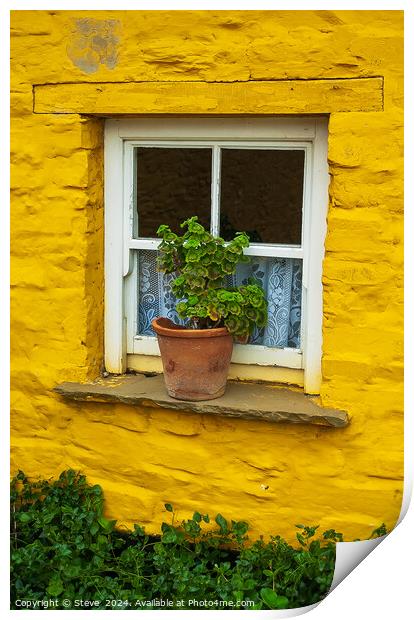 Flowerpot on Windowsill Surrounded by Vibrant Yellow Wall, Mucross, Killarney, Country Kerry, Ireland Print by Steve 