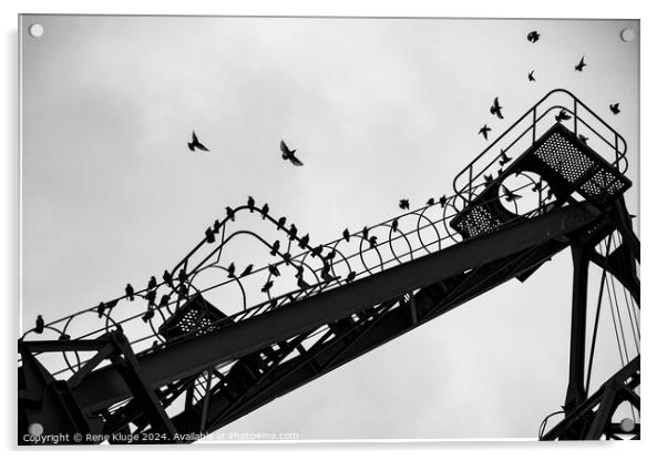 Birds in the crane Acrylic by Rene Kluge