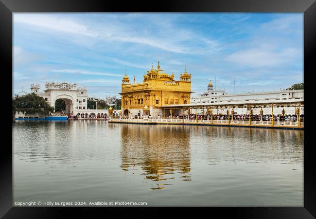 Golden Temple Amritsar Framed Print by Holly Burgess