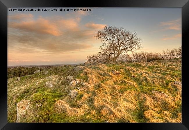 Tree on the crags Framed Print by Gavin Liddle