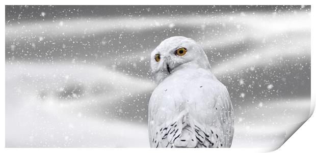 Snowy Owl in Winter Print by Arterra 