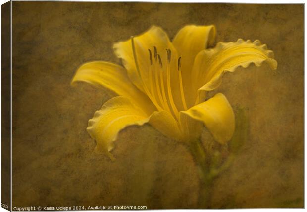 Daylily flower with fine art edit Canvas Print by Kasia Ociepa