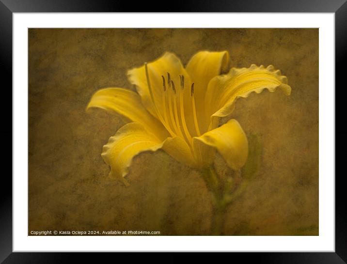 Daylily flower with fine art edit Framed Mounted Print by Kasia Ociepa