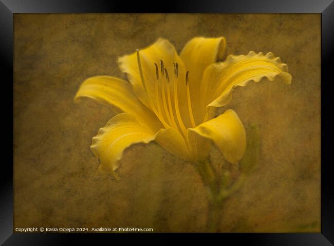 Daylily flower with fine art edit Framed Print by Kasia Ociepa