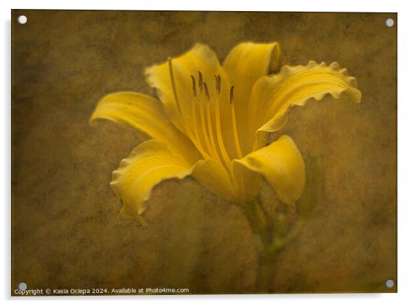 Daylily flower with fine art edit Acrylic by Kasia Ociepa