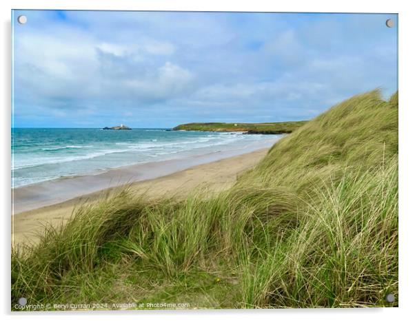 Marram grass at Gwithian Beach Cornwall  Acrylic by Beryl Curran