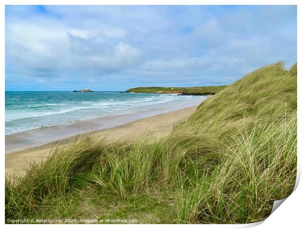Marram grass at Gwithian Beach Cornwall  Print by Beryl Curran