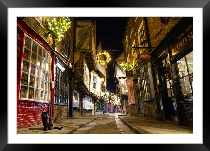 York Shambles Cat Framed Mounted Print by Alison Chambers