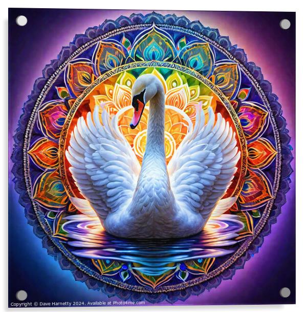 Swan Mandala. Acrylic by Dave Harnetty