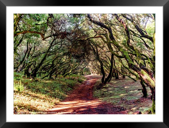 Forest Path Framed Mounted Print by Alan Smith