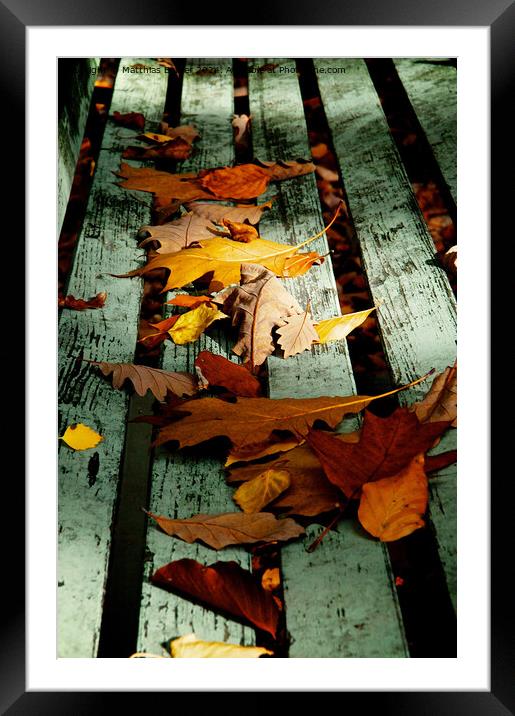 autumn Framed Mounted Print by Matthias Betzer