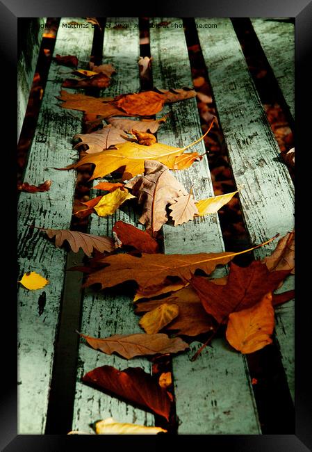 autumn Framed Print by Matthias Betzer